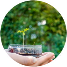 garden calendar round icon