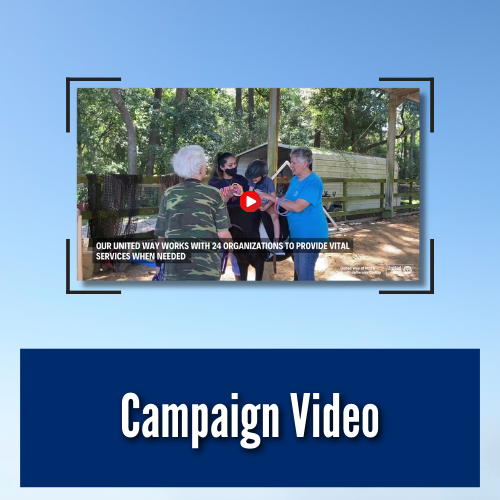 Campaign video icon